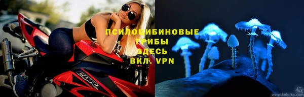 каннабис Белокуриха