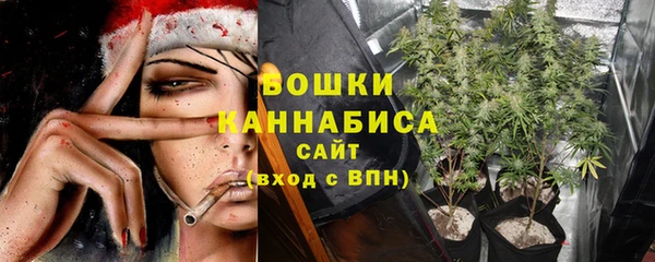 PSILOCYBIN Беломорск