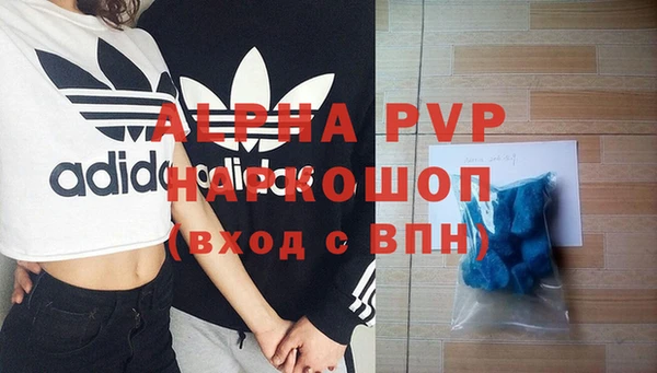 PSILOCYBIN Беломорск